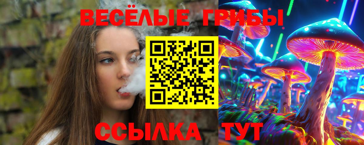 Псилоцибиновые грибы Magic Shrooms  Вход с VPN  Моршанск 