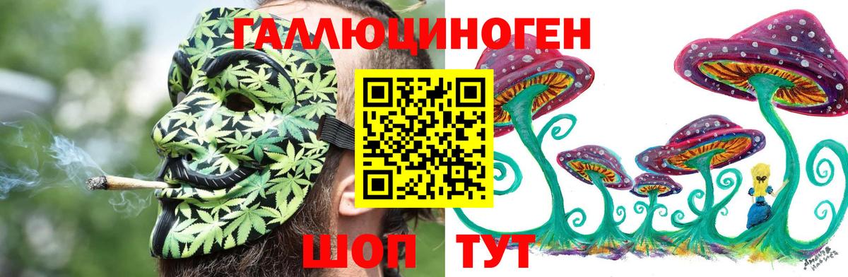Галлюциногенные грибы Psilocybe Моршанск